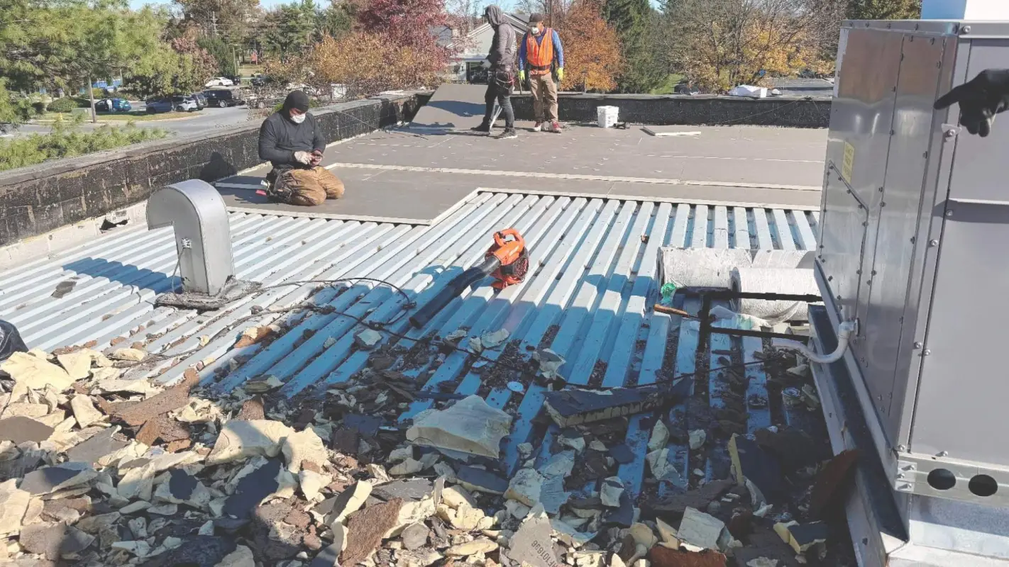Professional Roofing Services Is Your One-Stop Shop