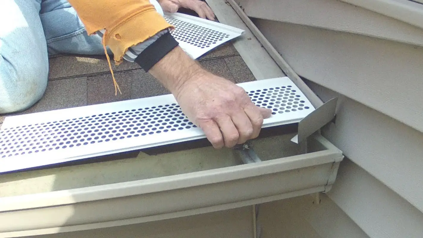 Professional Leaf Filter Company – Your First Defense Against Clogged Gutters