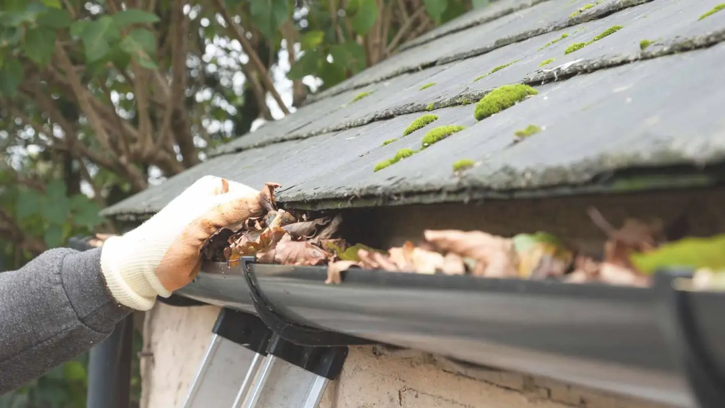 Stay Dry and Protected with Expert Gutter Cleaners