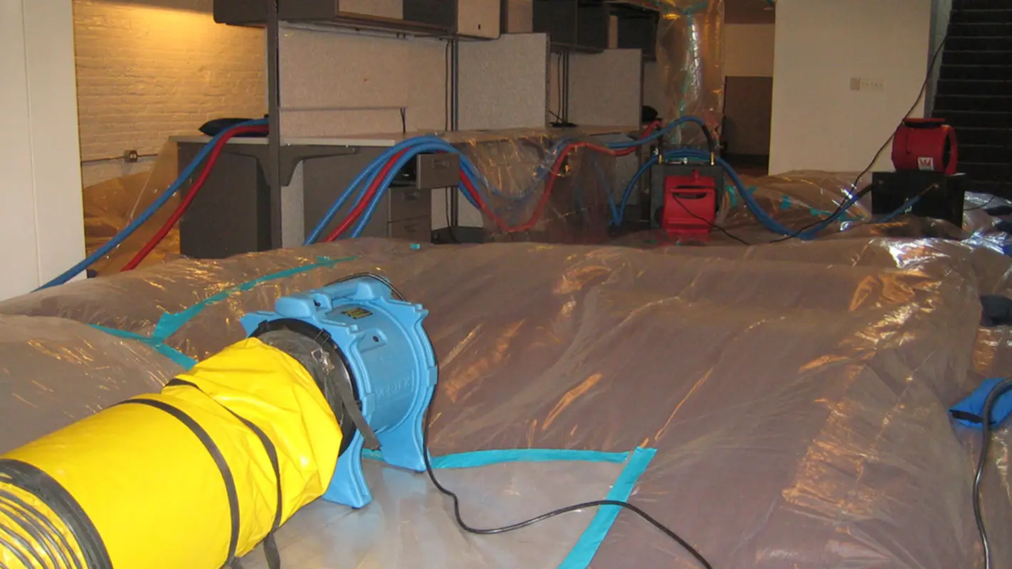 Flooded Basement Cleanup Services Are Your One-Stop Shop