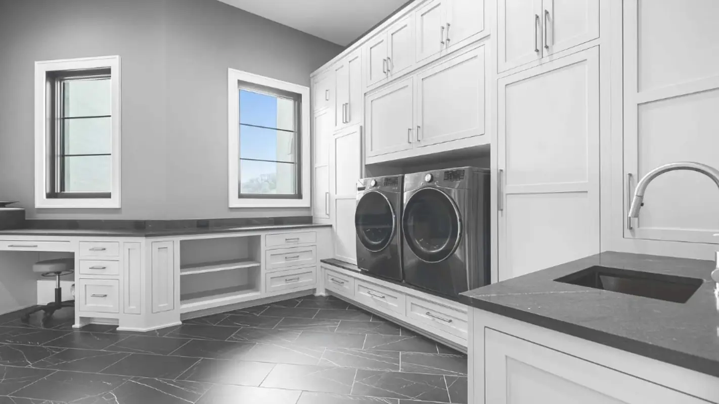Mold Remediation Services For Structural Integrity