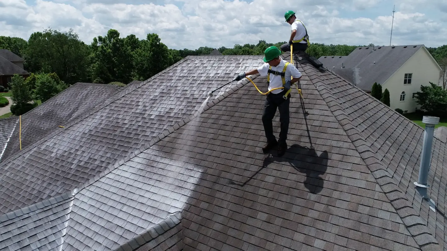 Your Trusted Choice For Residential Roof Rejuvenation Services