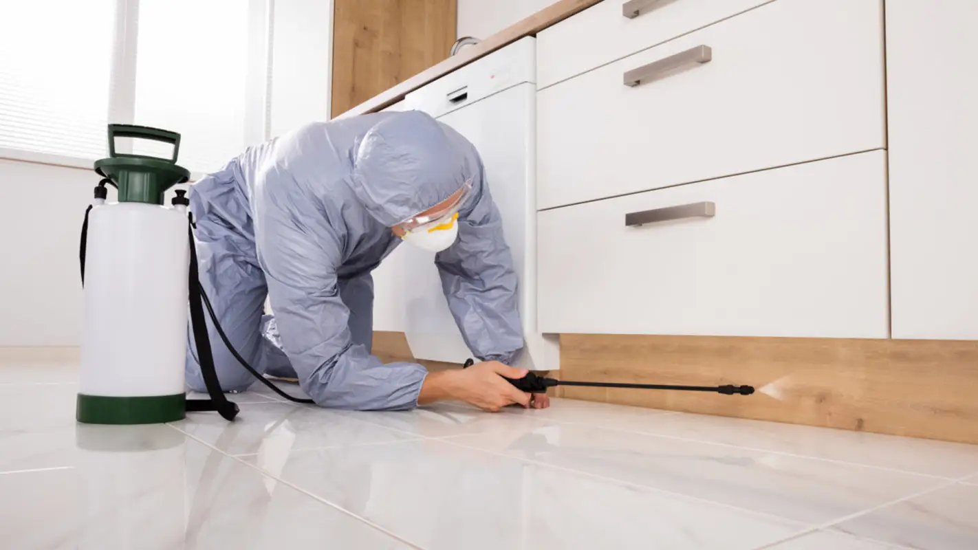 Looking for “Pest Control Professionals Near Me?” Contact Us!