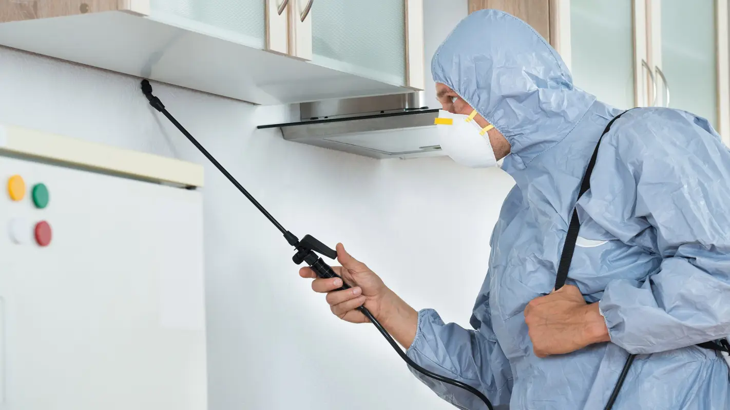 Pest Control Services with exceptional results