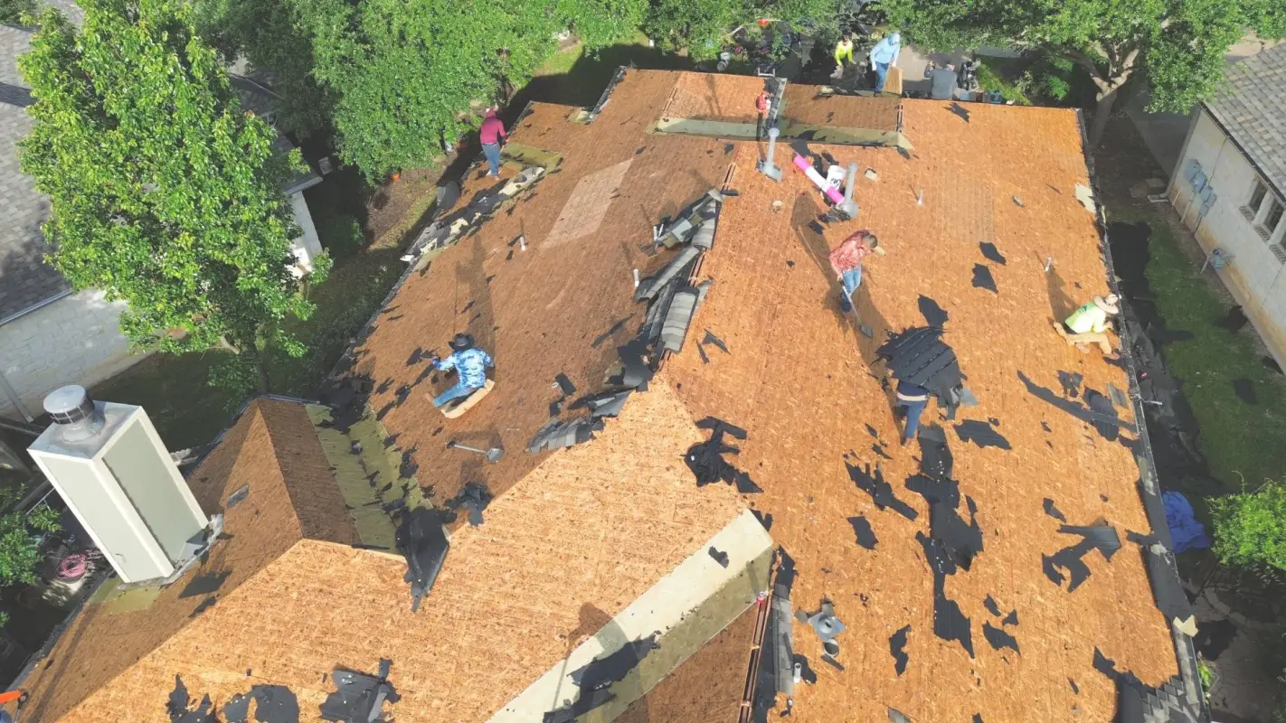 Professional Eyes on Your Roof for Roof Inspection Services