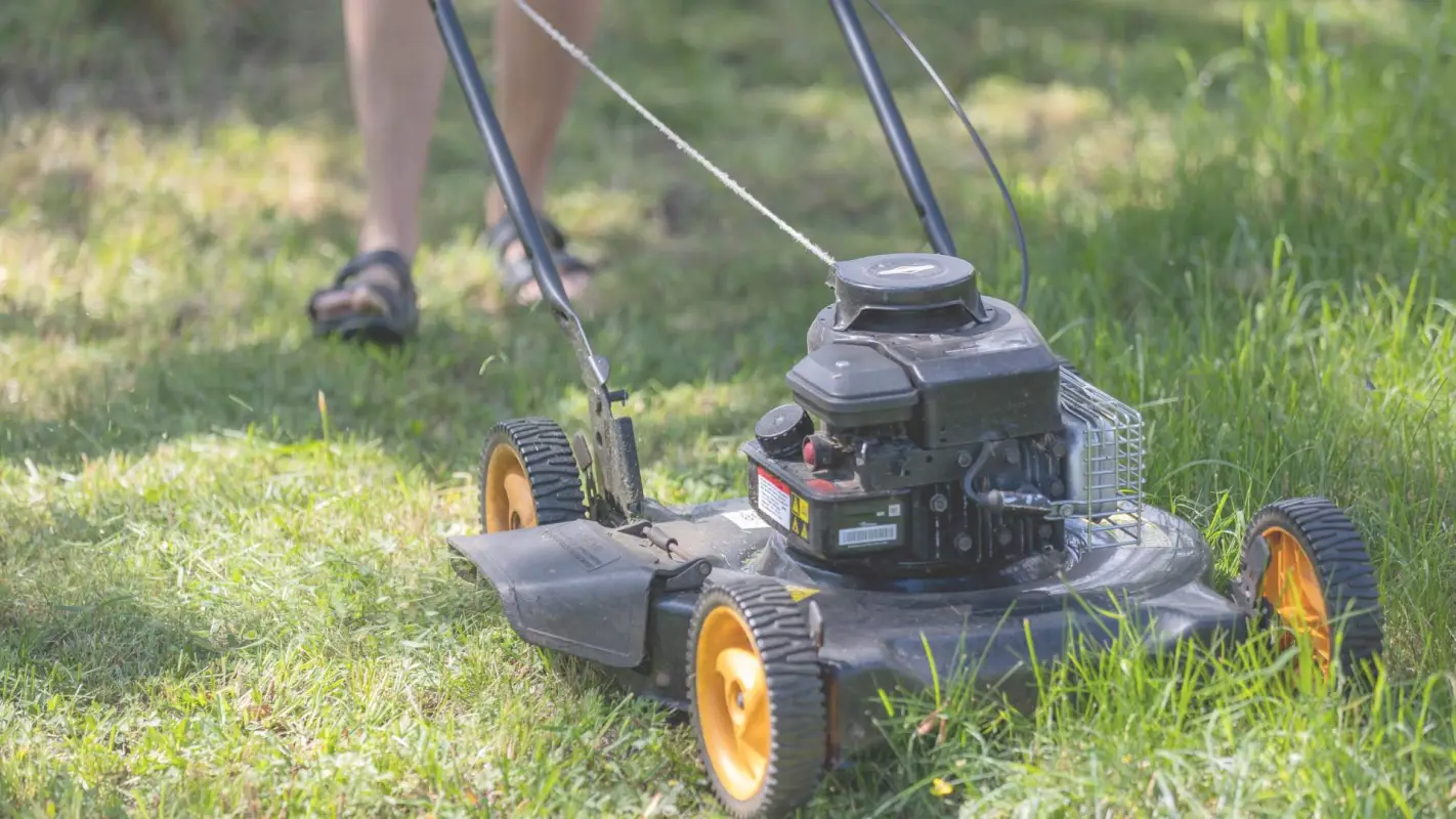 Residential Lawn Care Services Tailored for You
