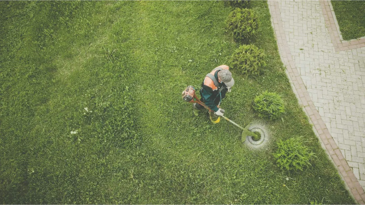 Quick Mowing and Weed Eating for a Redefined Lawn Maintenance