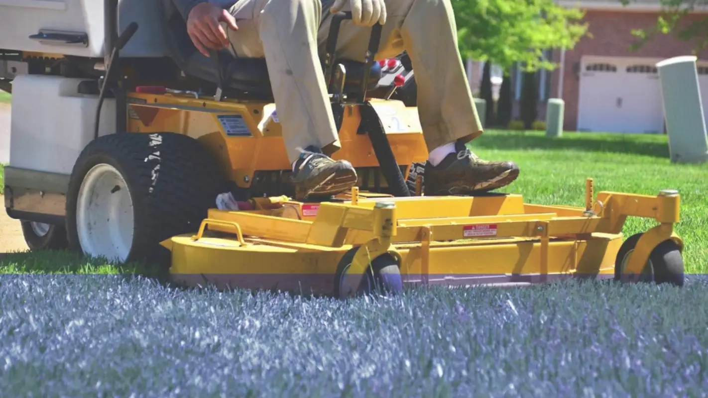 Local Lawn Care Experts, Who Adds a Touch of Class.