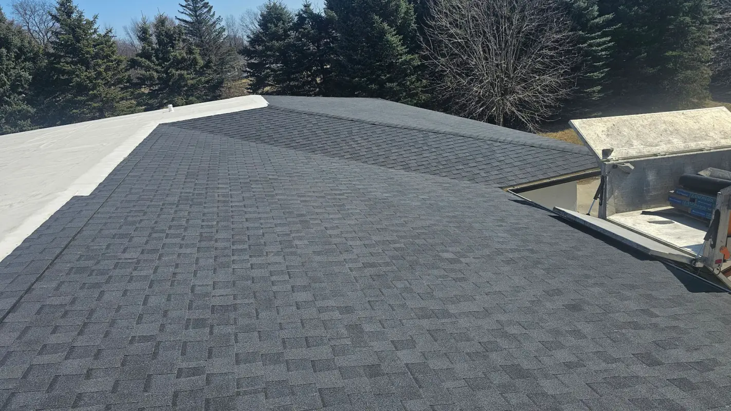 Keep Your Roof Maintained Through Residential Roof Inspection Services