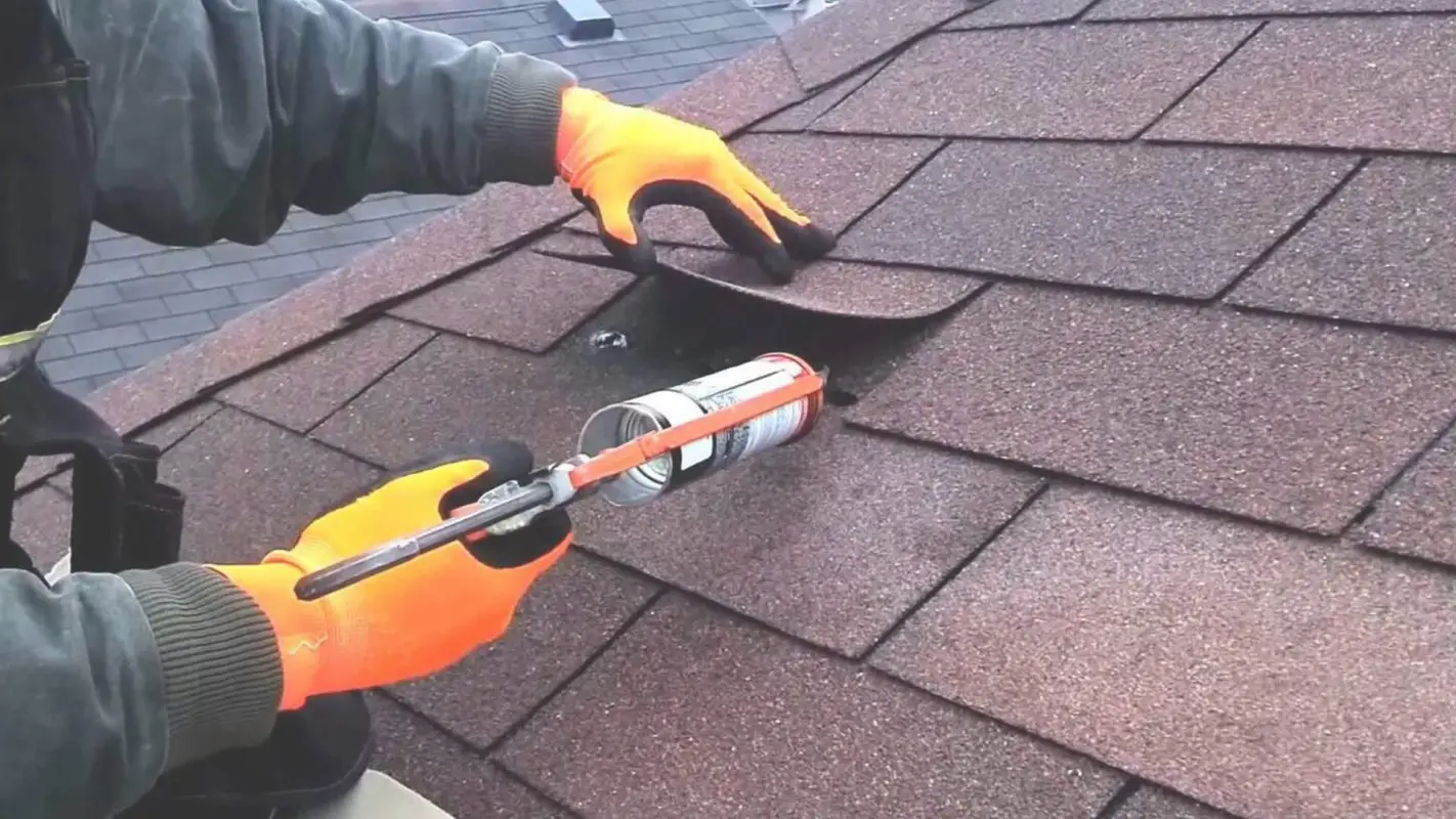 Leave Your Roof Leak Repair Services to Our Roofing Professionals