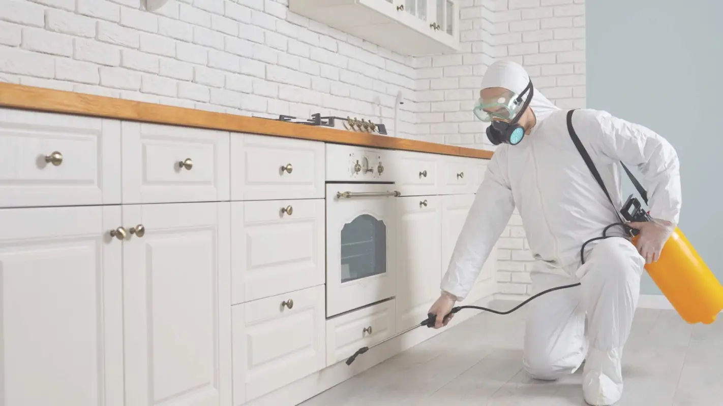 Pest Control Services For Pest-Free Living