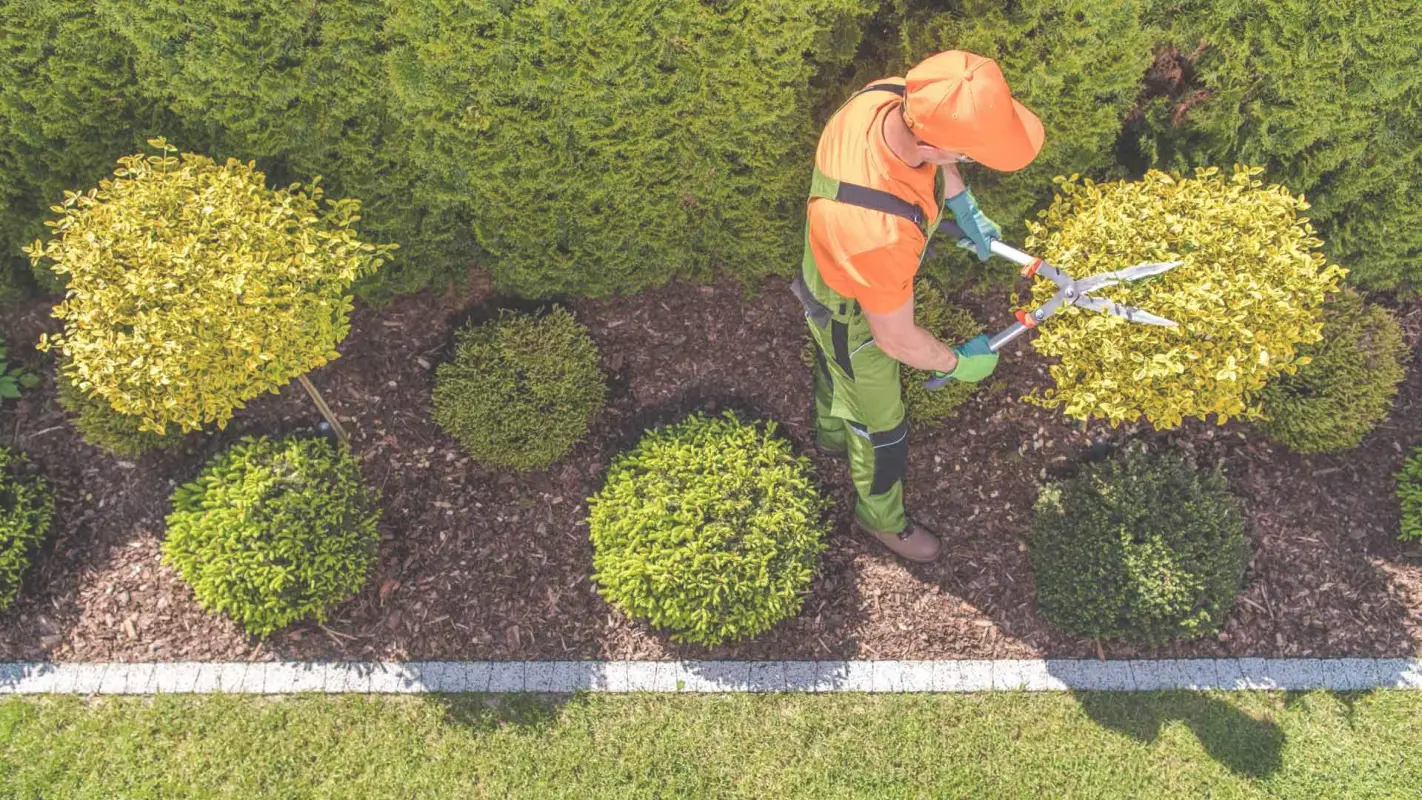 Build A Masterpiece with Our Hardscaping Services