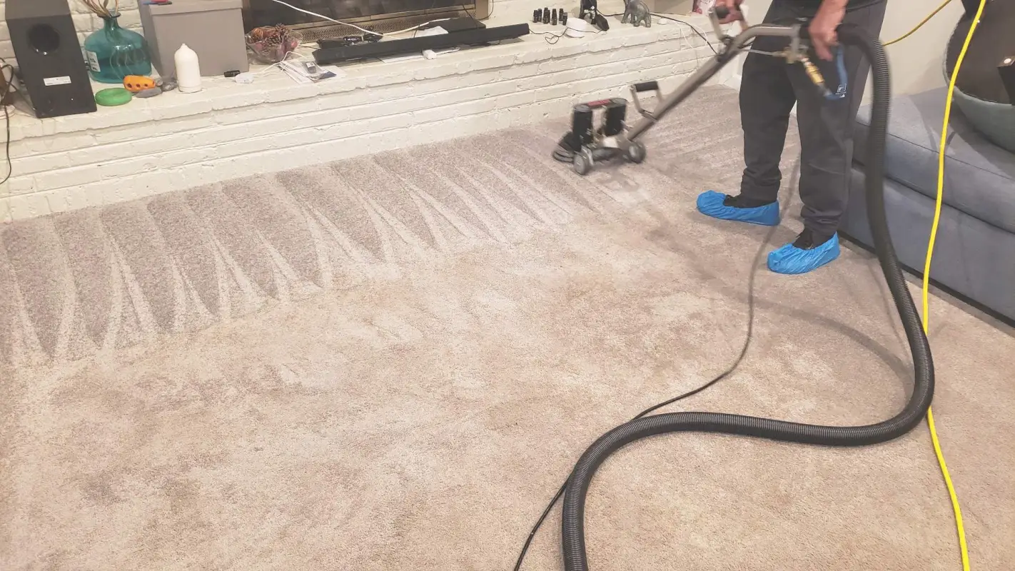 Say Goodbye to Stains with Our Carpet Stain Removal Service