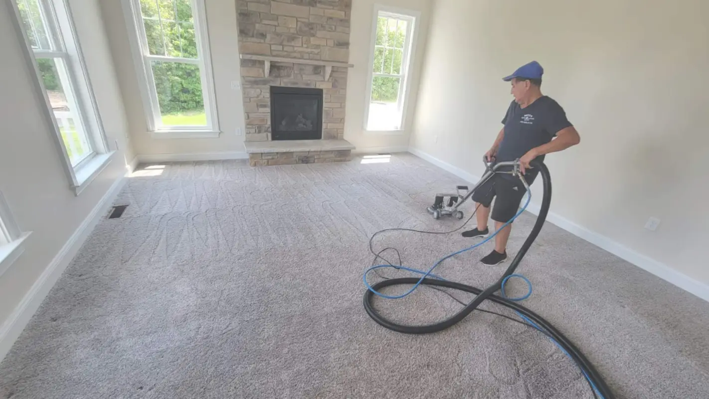 Professional Carpet Cleaners Are Your Partner for Flawless Carpets