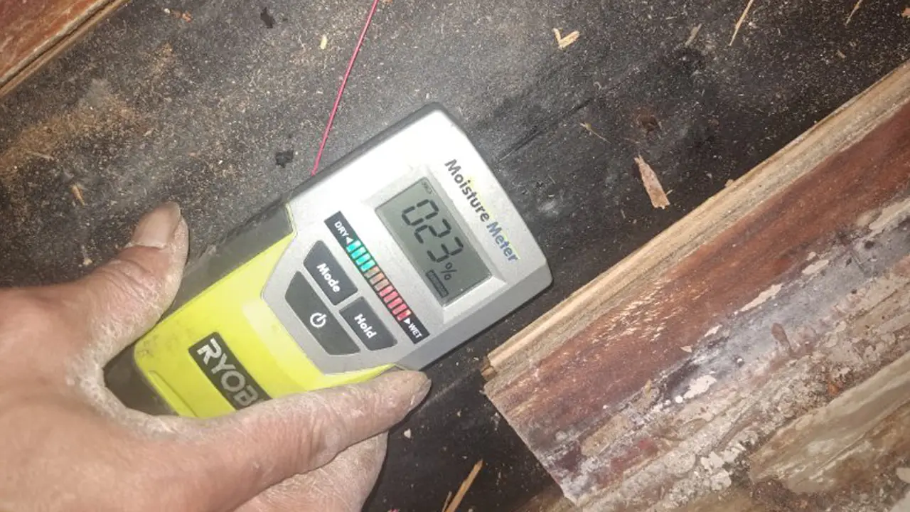 Spot The Leak with Our Leak Detection Experts