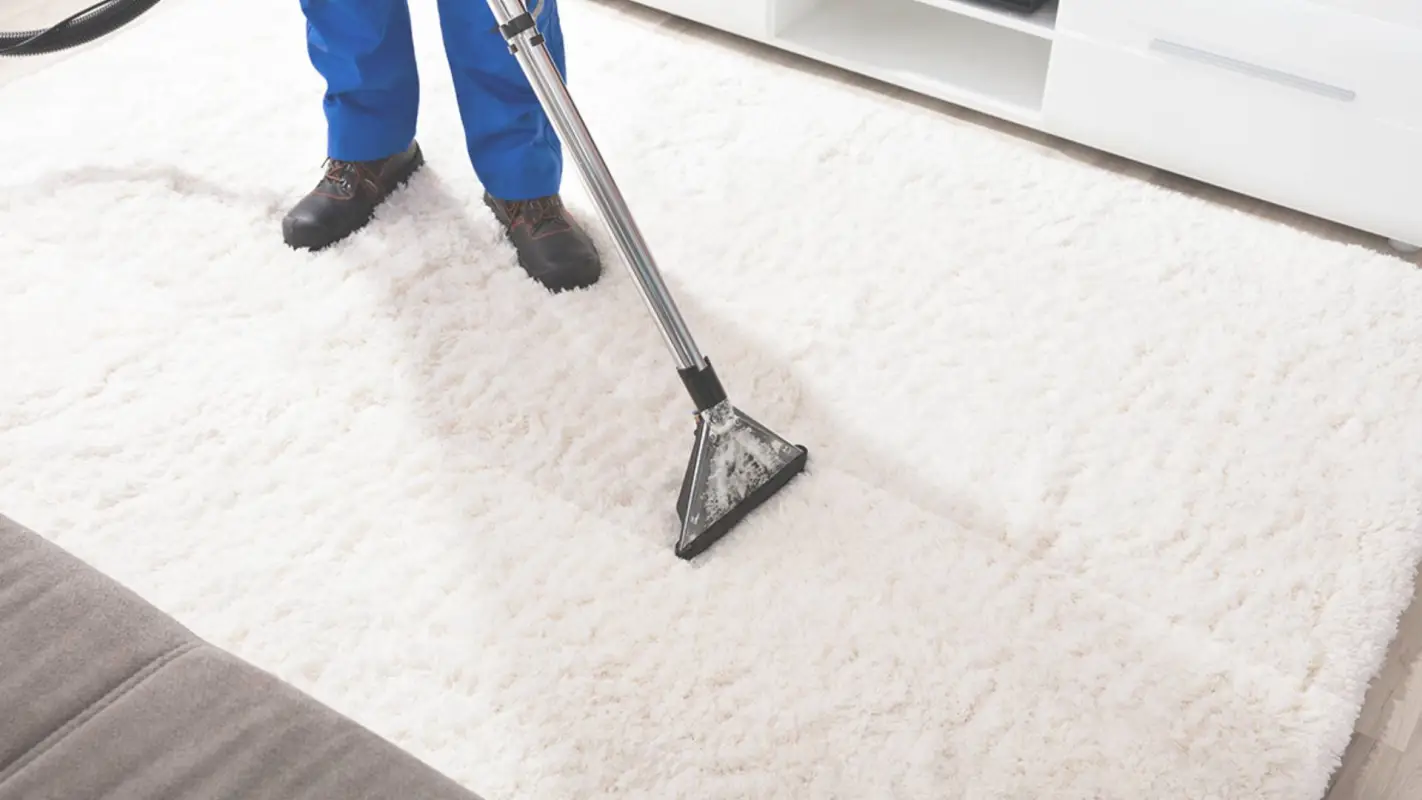 Professional Carpet Cleaners at available 24/7. Hire them to admire your rugs