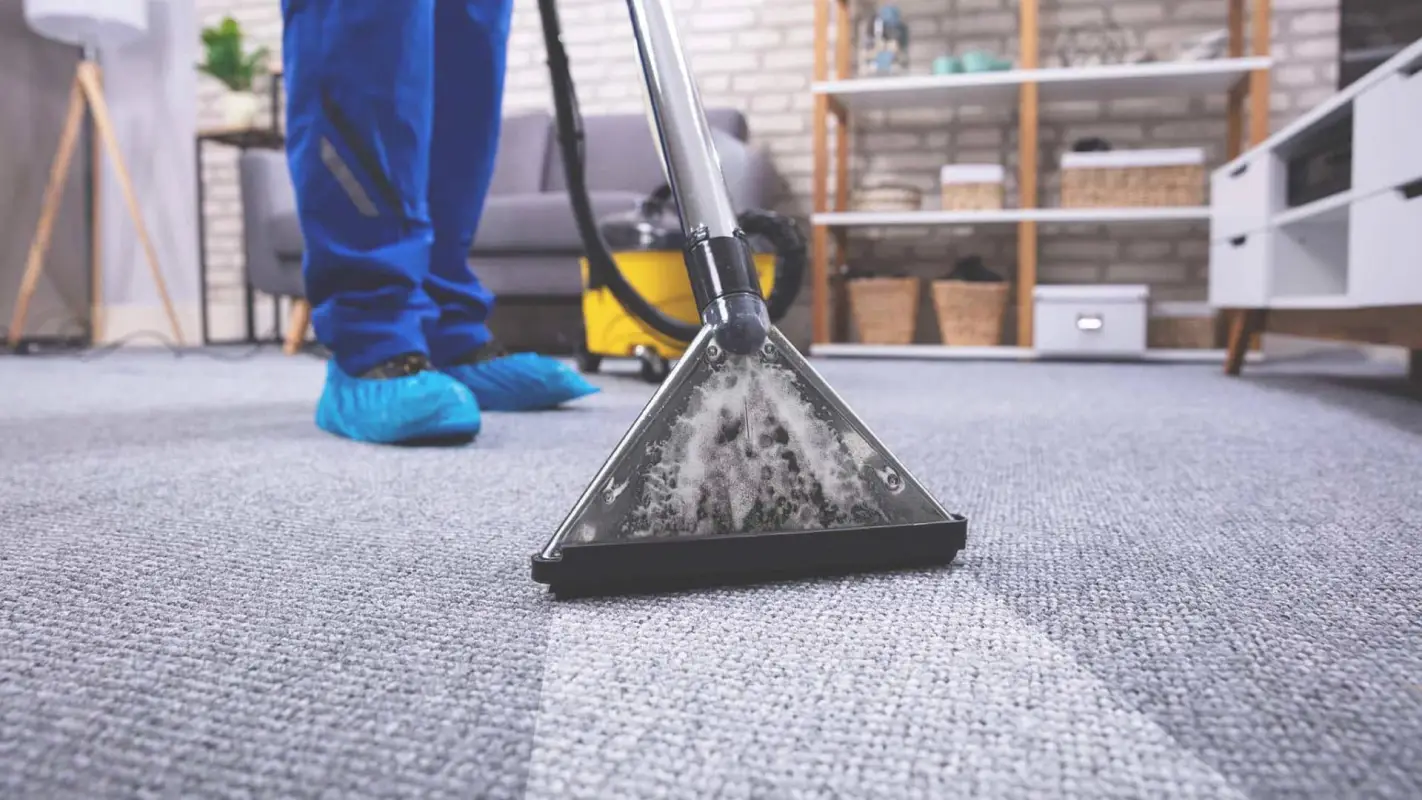 Elevate Your Living Space with Carpet Cleaning Service