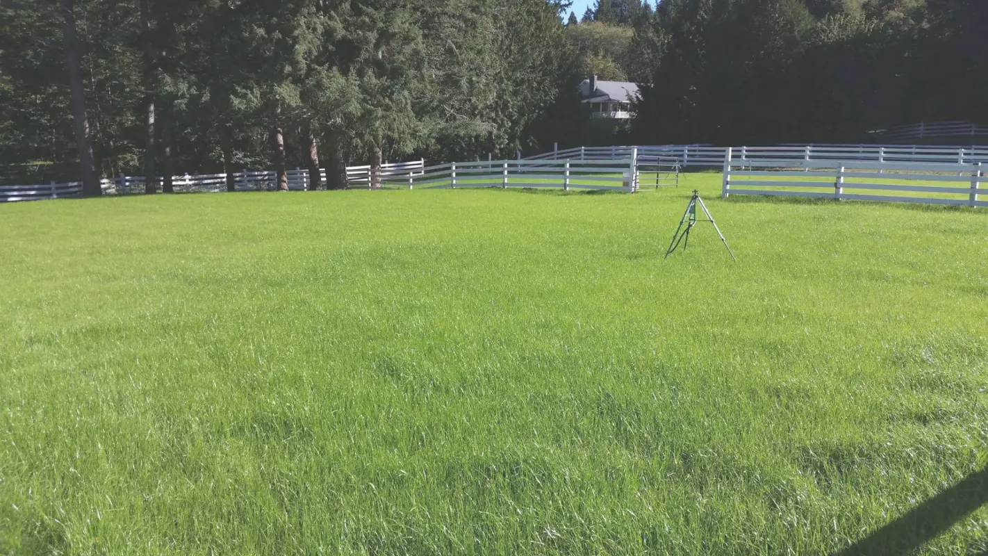 End Your Search for Grass Hydroseeding Near Me & Hire Us!