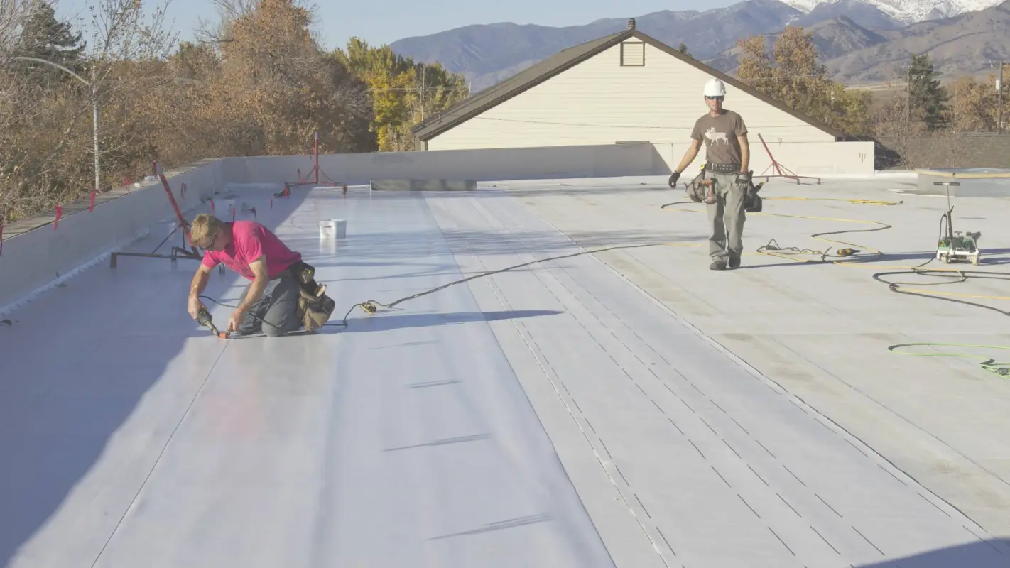 Commercial Roof Repair Service: You Have Been Searching For