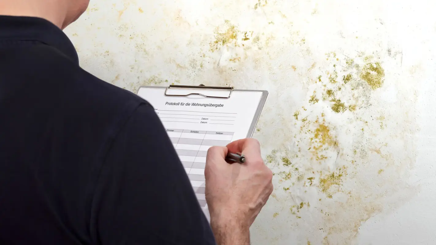 End Your Quest For “Trusted Mold Inspection Near Me”