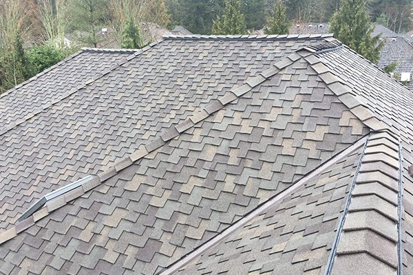 Roofing Service Cost