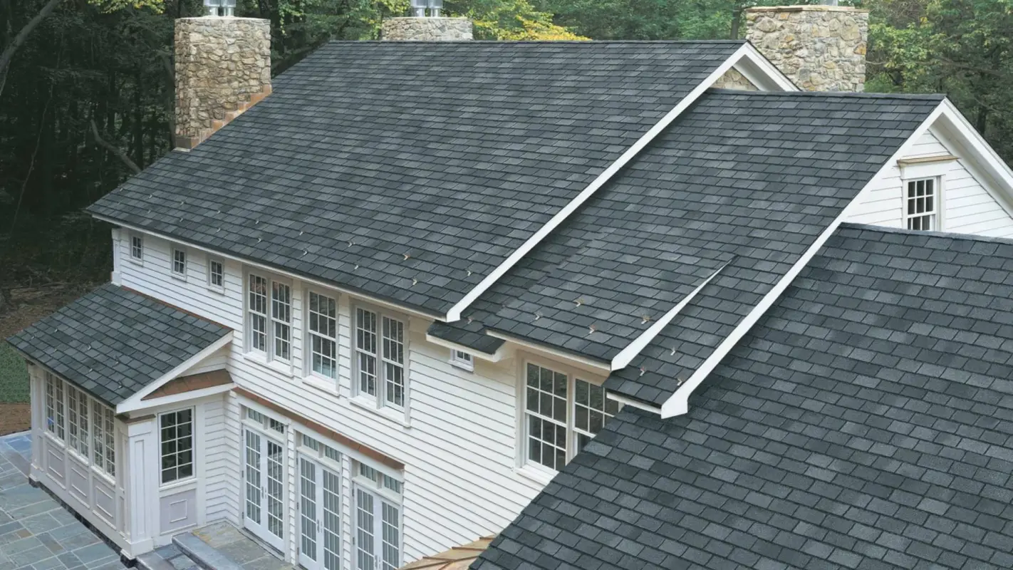Stop searching for “Roof Replacement Services Near Me” anymore