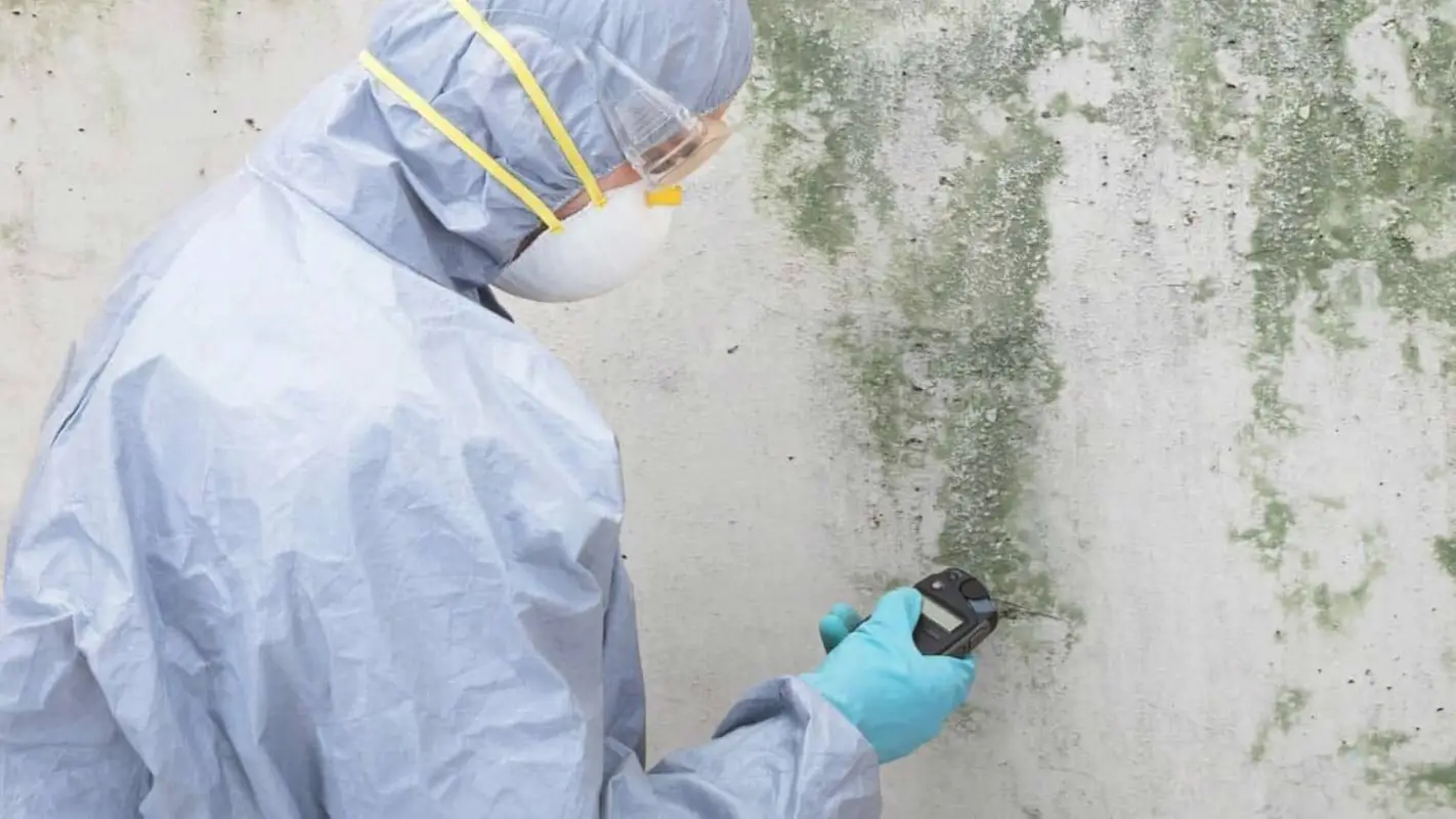 Mold Will Have No Chance with Our Mold Testing Contractors