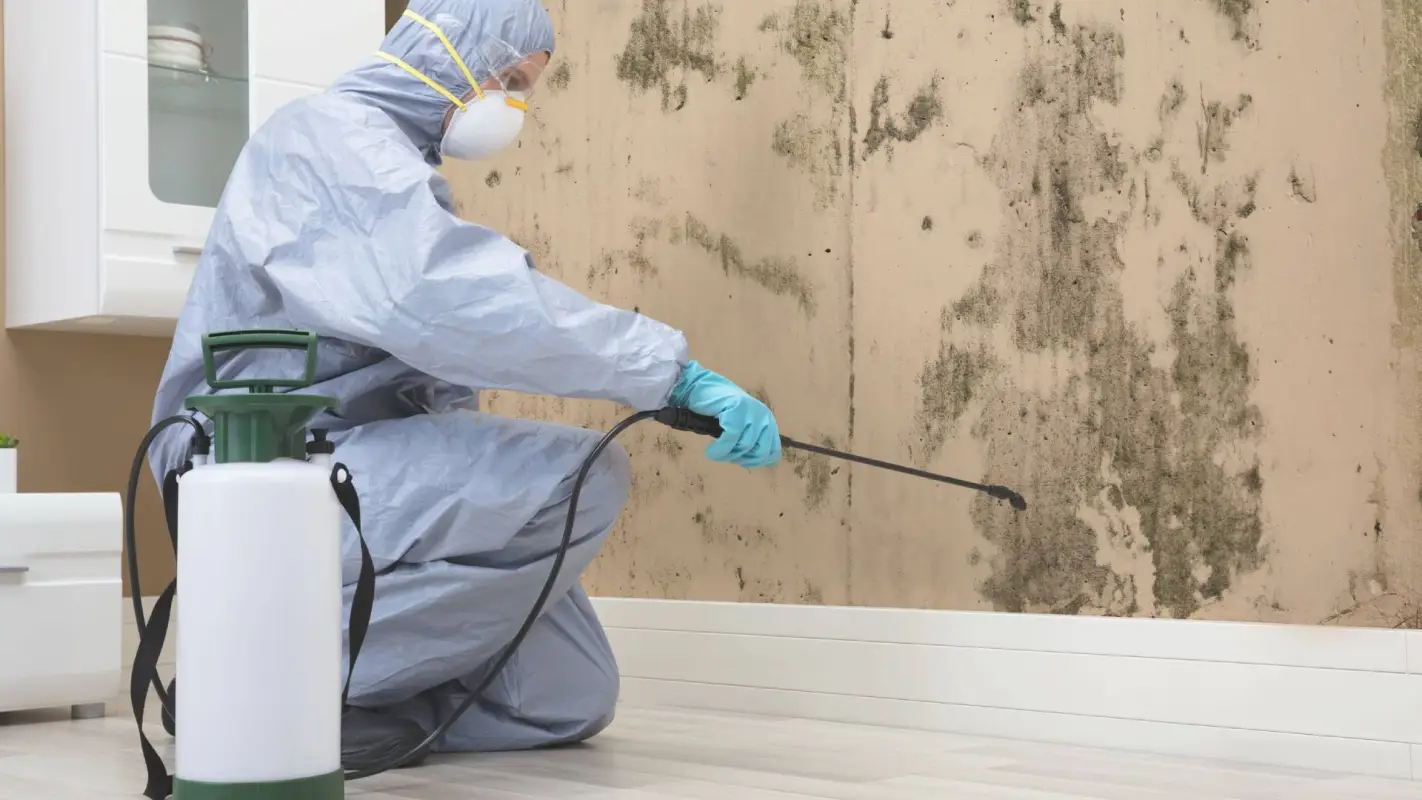 Want Mold Be Gone? Hire Our Mold Remediation Services