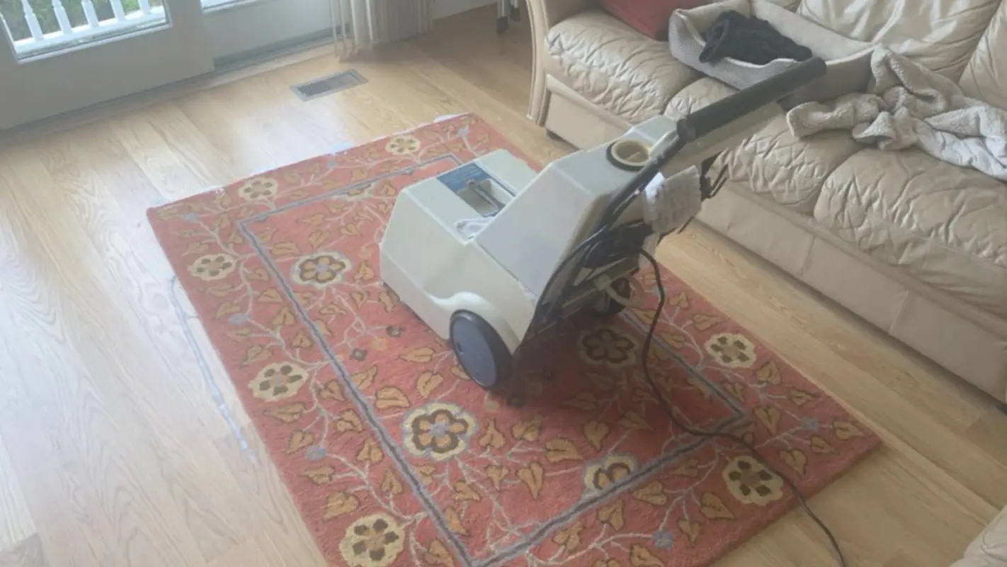Looking for ‘Expert rug cleaning near me’? Stop your Search Here