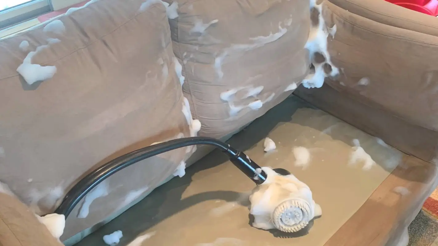 End Your Quest For ‘Upholstery Cleaning Near Me’ And Hire Us Now