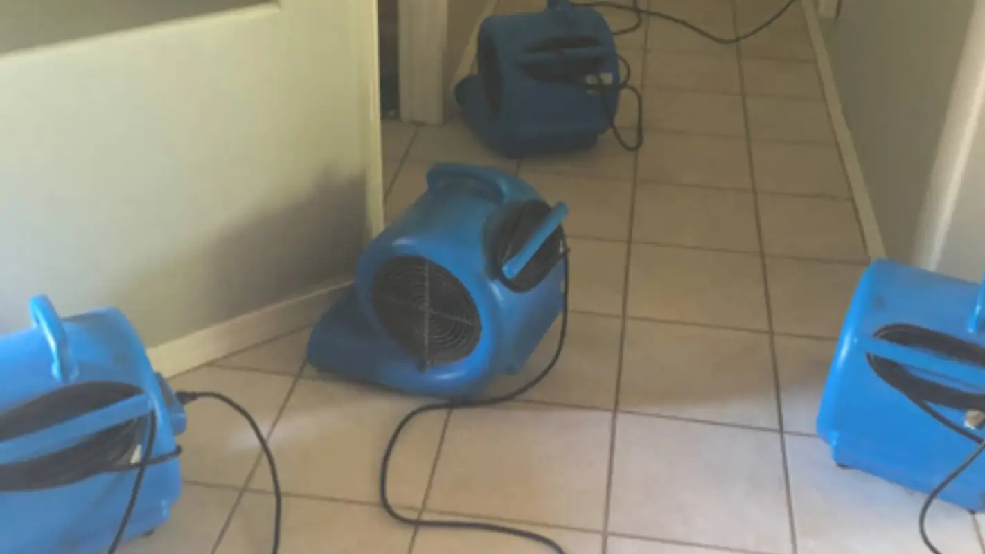 Emergency Water Extraction Services You Can Trust