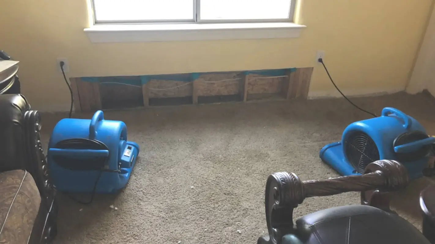 The Best Water Damage Restoration You Have Been Looking For