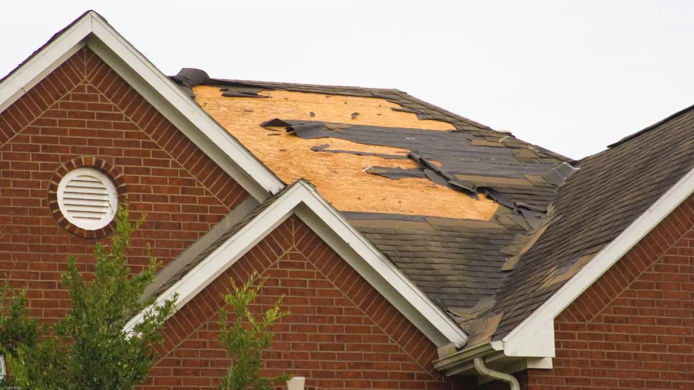 Transparent Storm Roof Damage Estimate