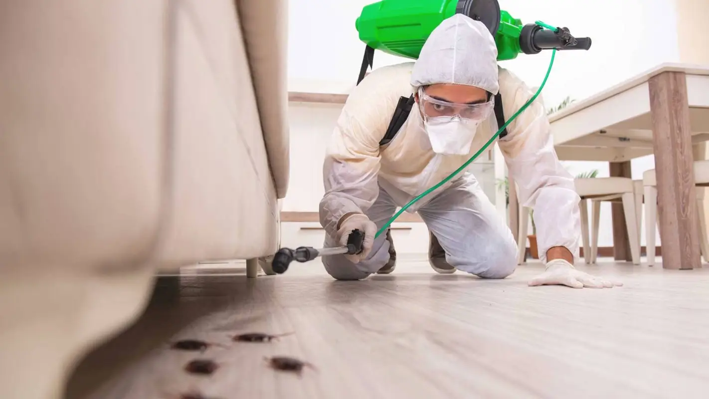 Pest Control Company Is Your Ultimate Pest Control Partner
