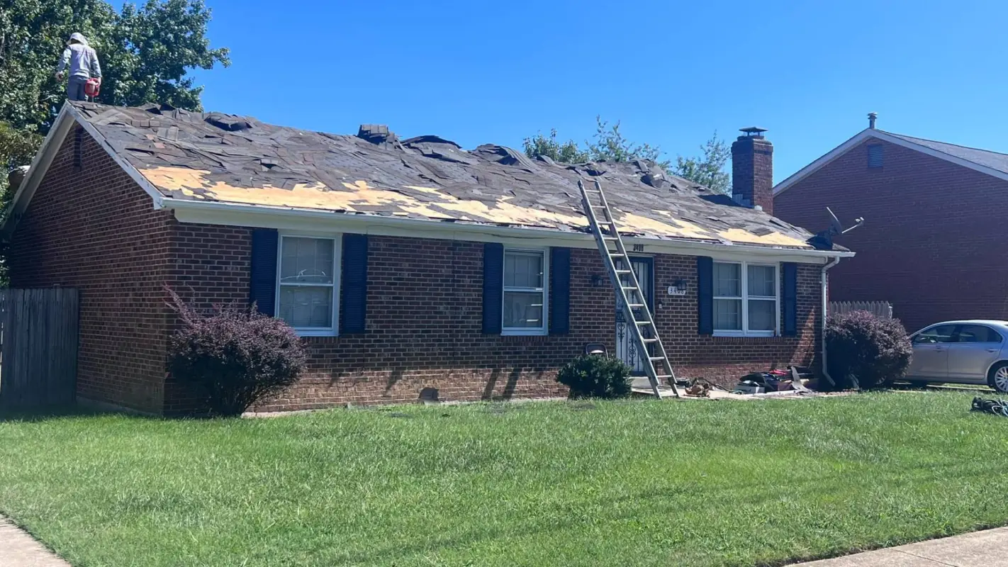 Professional Residential Roof Repair Contractors for You