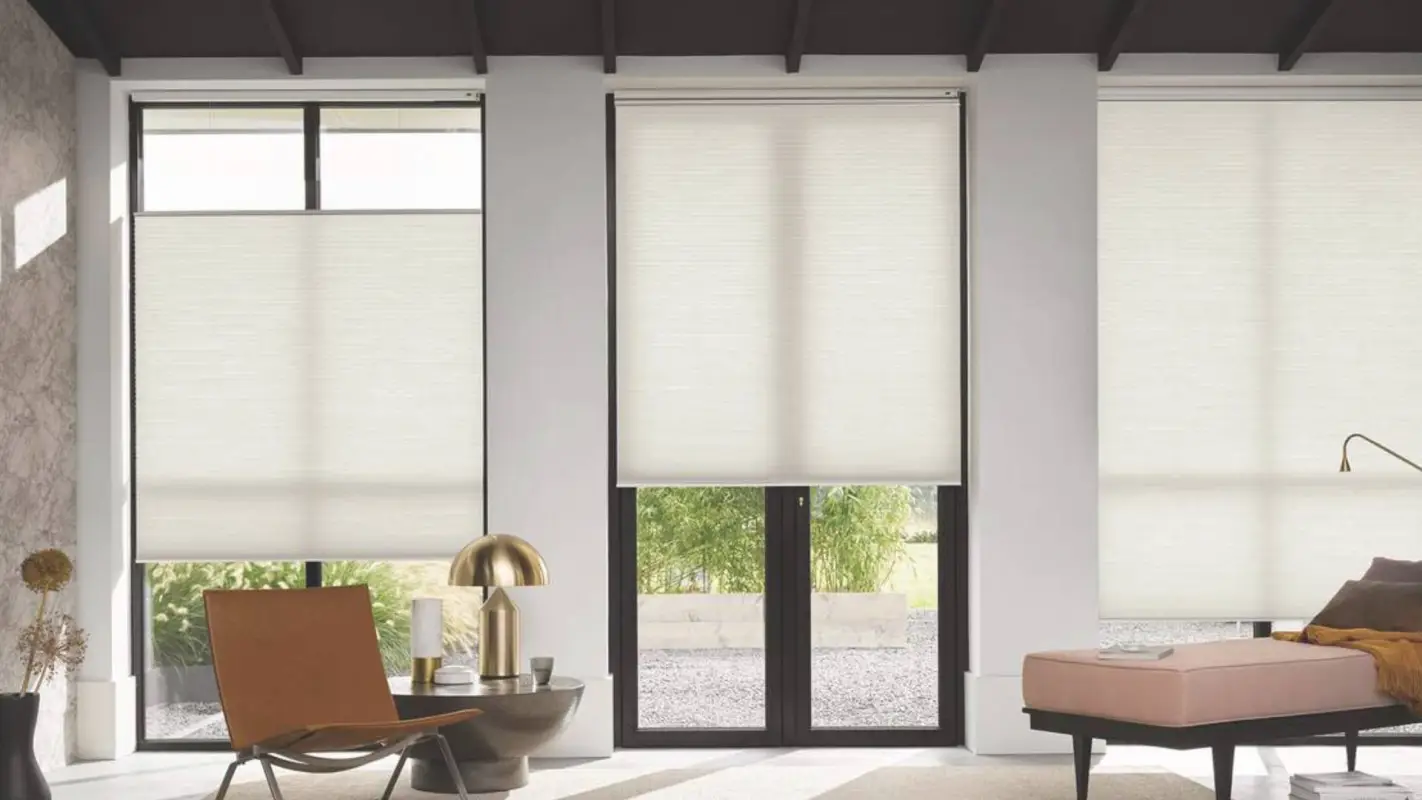 Custom Window Treatments Where Beauty Unfolds