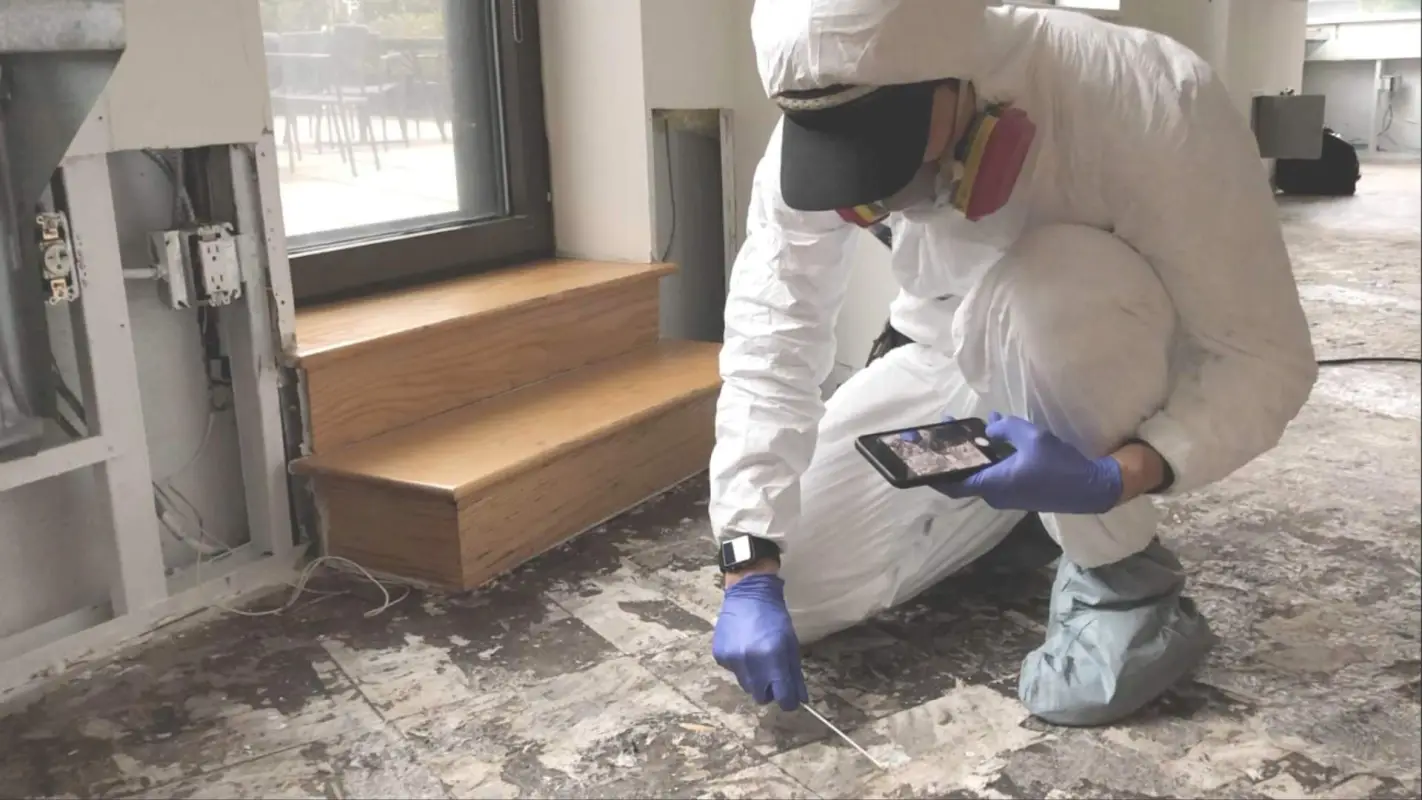 Your Trusted Source For Affordable Mold Inspection