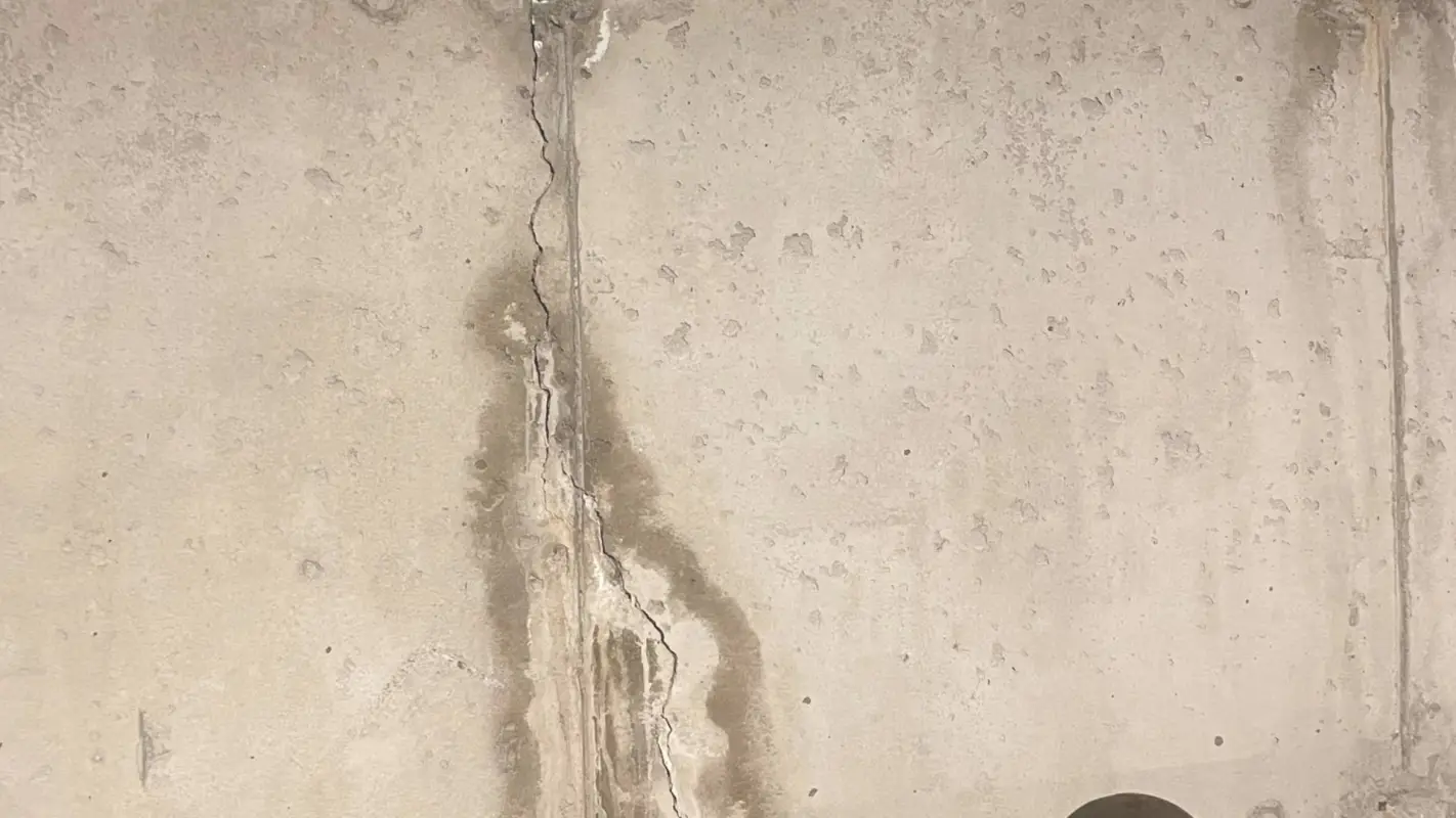 Professional Concrete Wall Leak Repair Services For Your Peace Of Mind