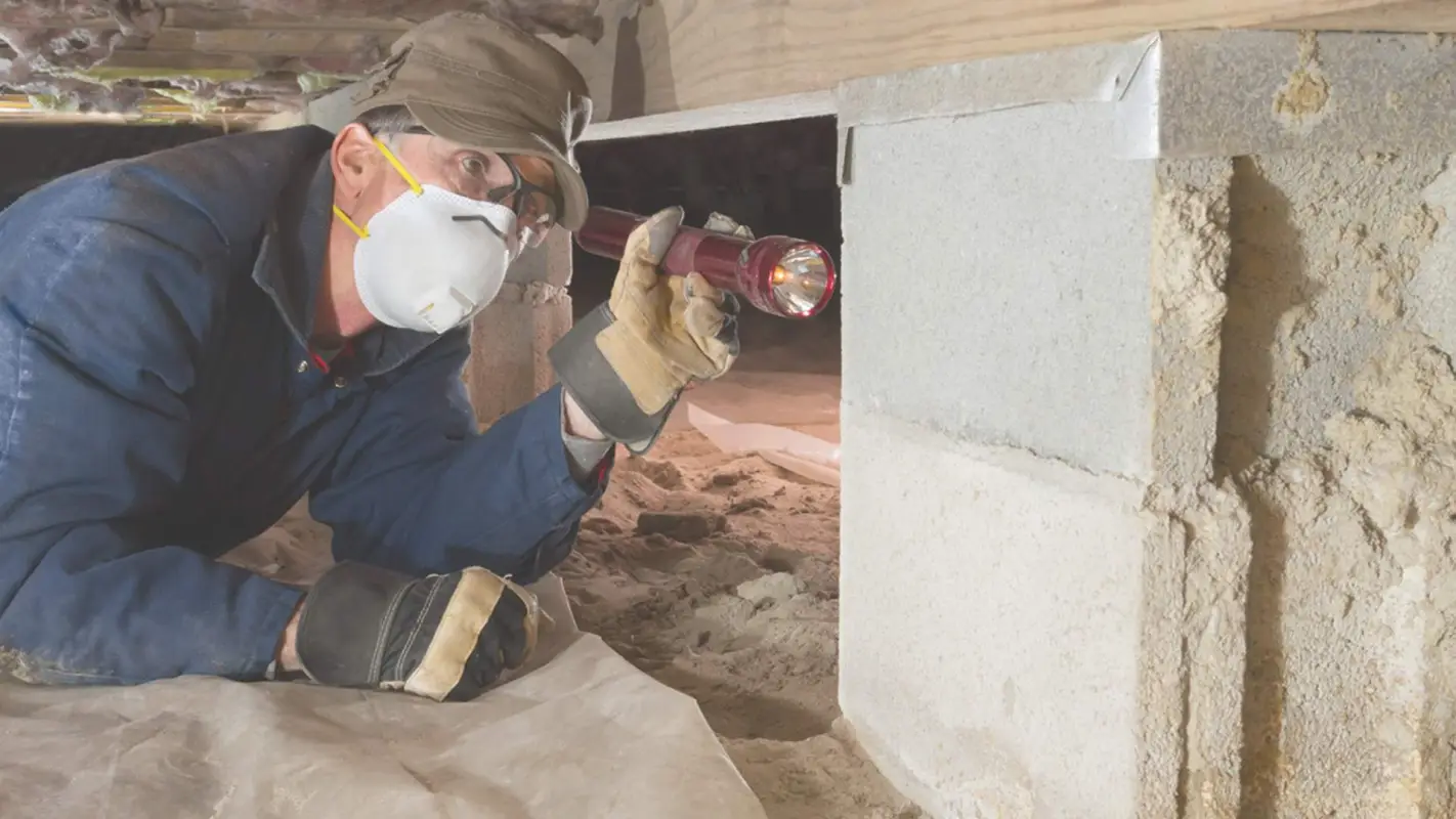 Residential Termite Control Company Is Here To Bring Ease To Your Life!