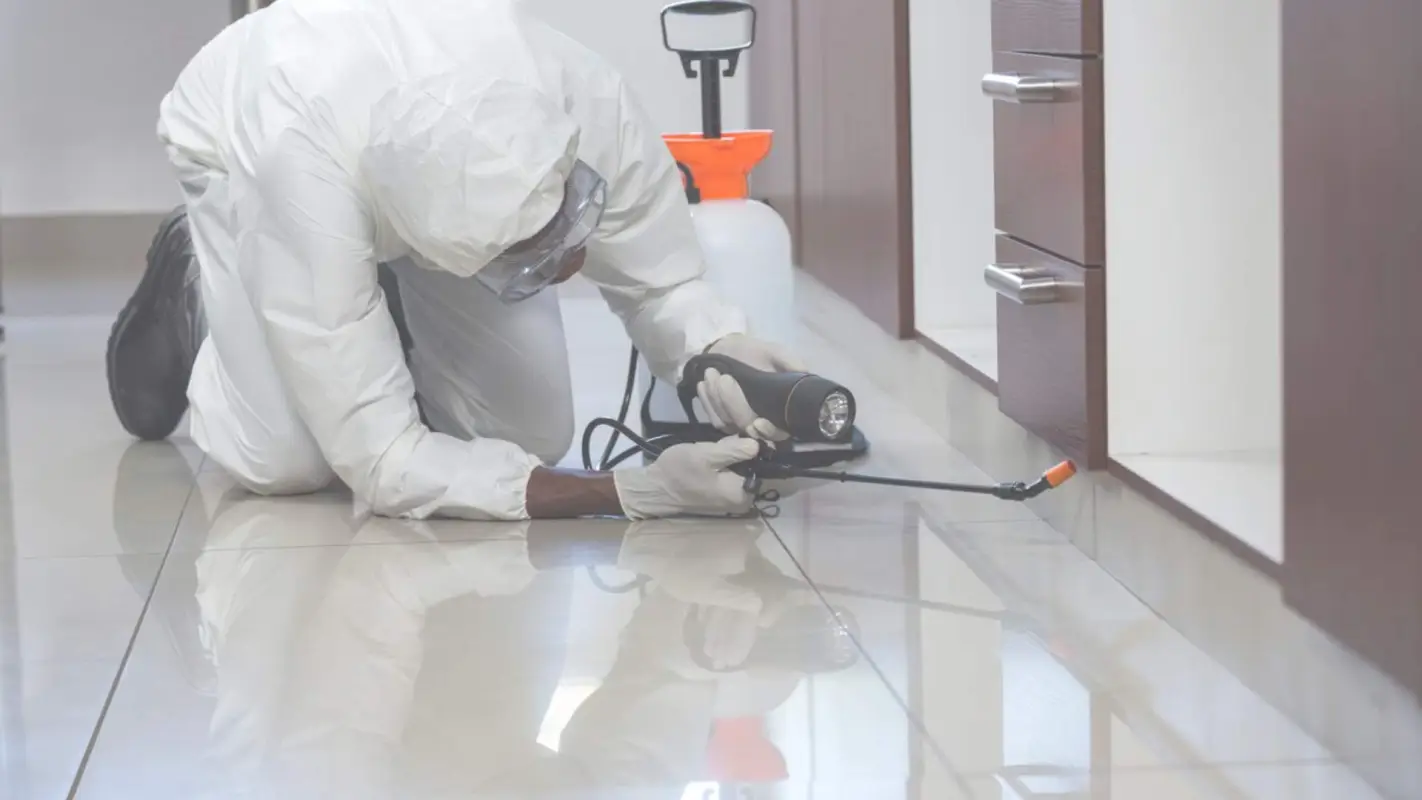 Affordable Pest Control Service Is Now In Port Charlotte, FL
