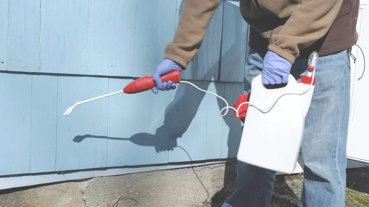 Same Day Pest Control Service Is Available Now!