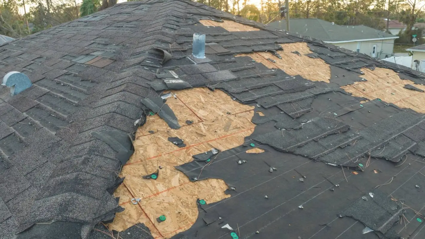 Roof Repair Contractors You Can Trust