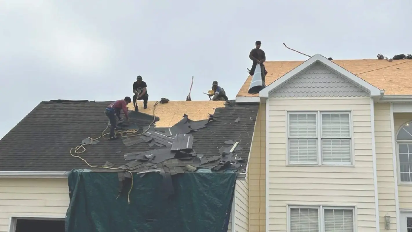Halt Your Quest For Roof Replacement Contractors Near Me