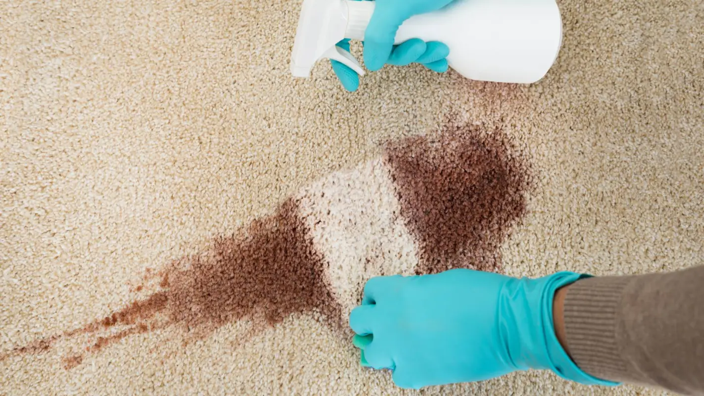 Carpet Stain Removal to Get Rid of Stains Completely!