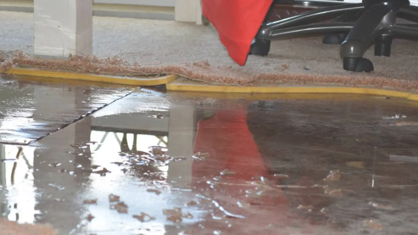 Searching For: Emergency Water Extraction Near Me? We Got You!