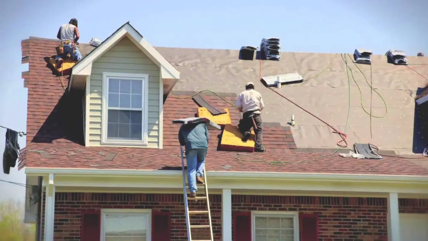 Professional Roof Installation Services For Maximum Protection