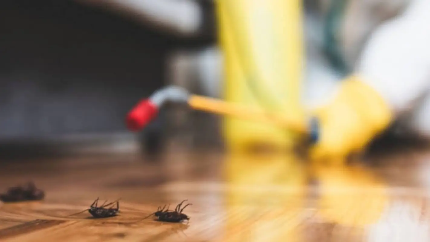 Professional Insect Treatment in Redmond, OR