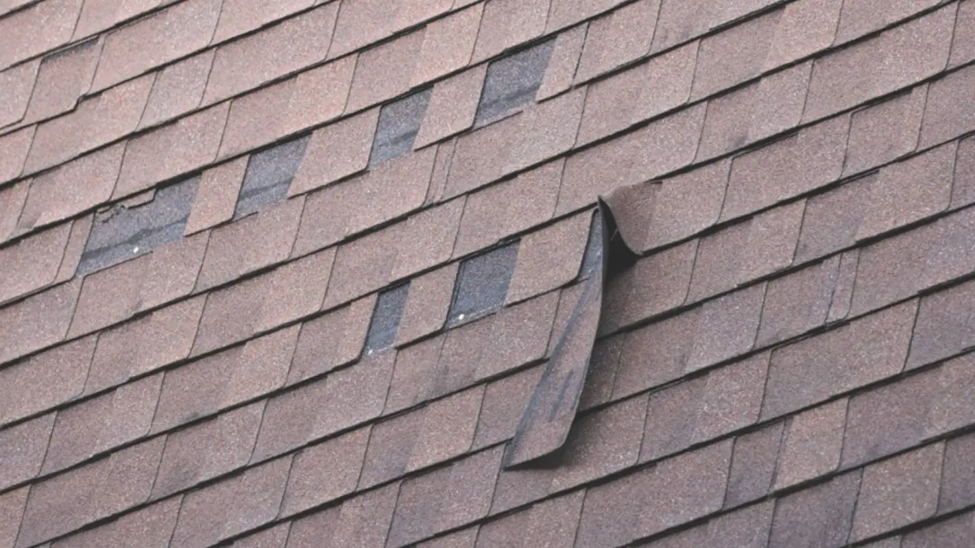 Experience The Peace of Mind with Our Roof Repair Services