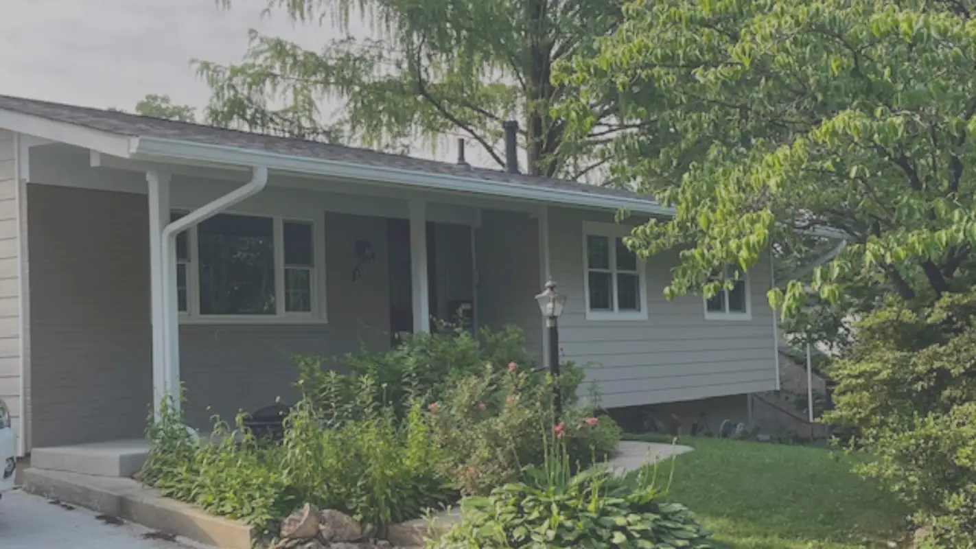 Roof Repair Experts For Elevating Your Roofing Expectations!