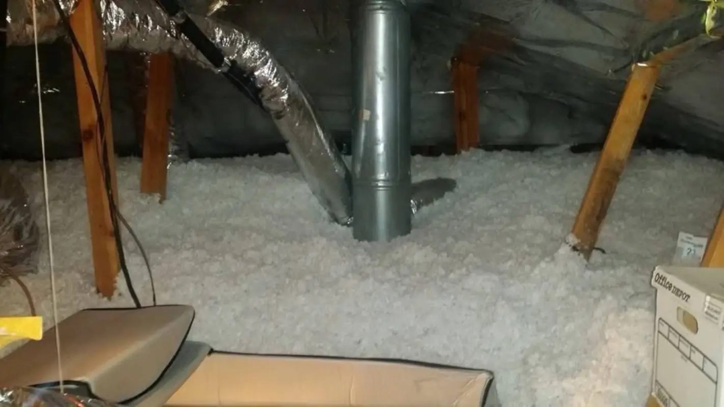 Looking for Attic Insulation Services near me? Choose us!